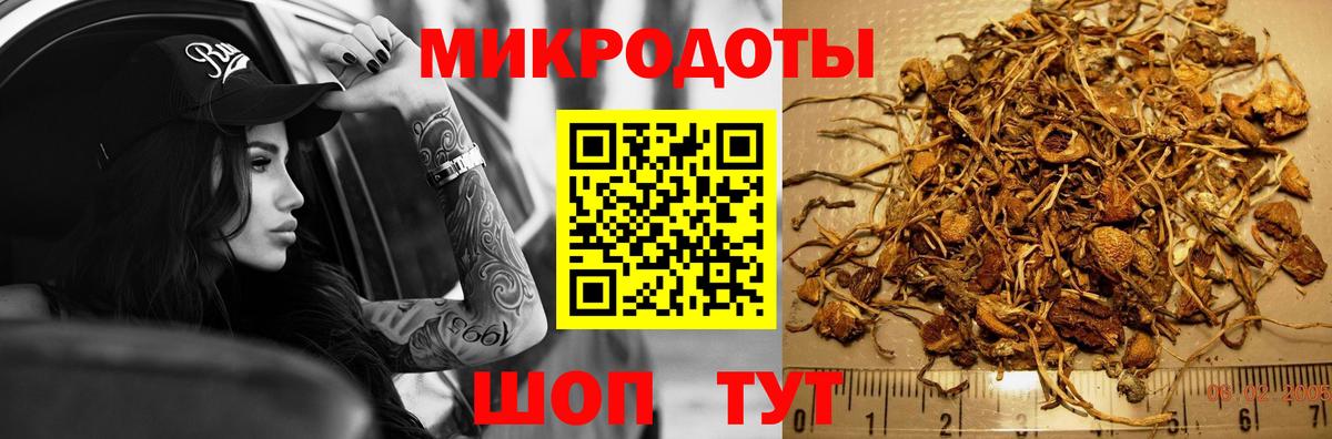 Псилоцибиновые грибы Cubensis Чебаркуль